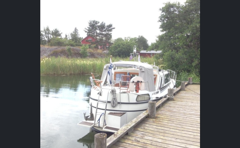 Albatross Flying 870-kuva-8